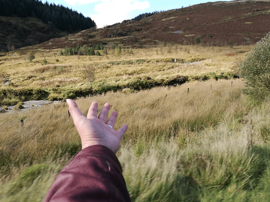 Malaysian in Snowdon