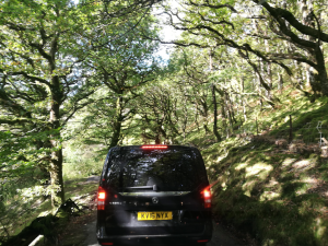 Malaysian Entrepreneurs - Narrow Road