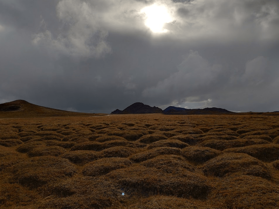 lava field iceland
