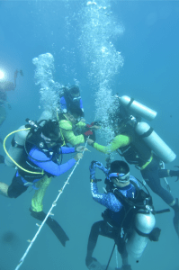 coral plating suspended