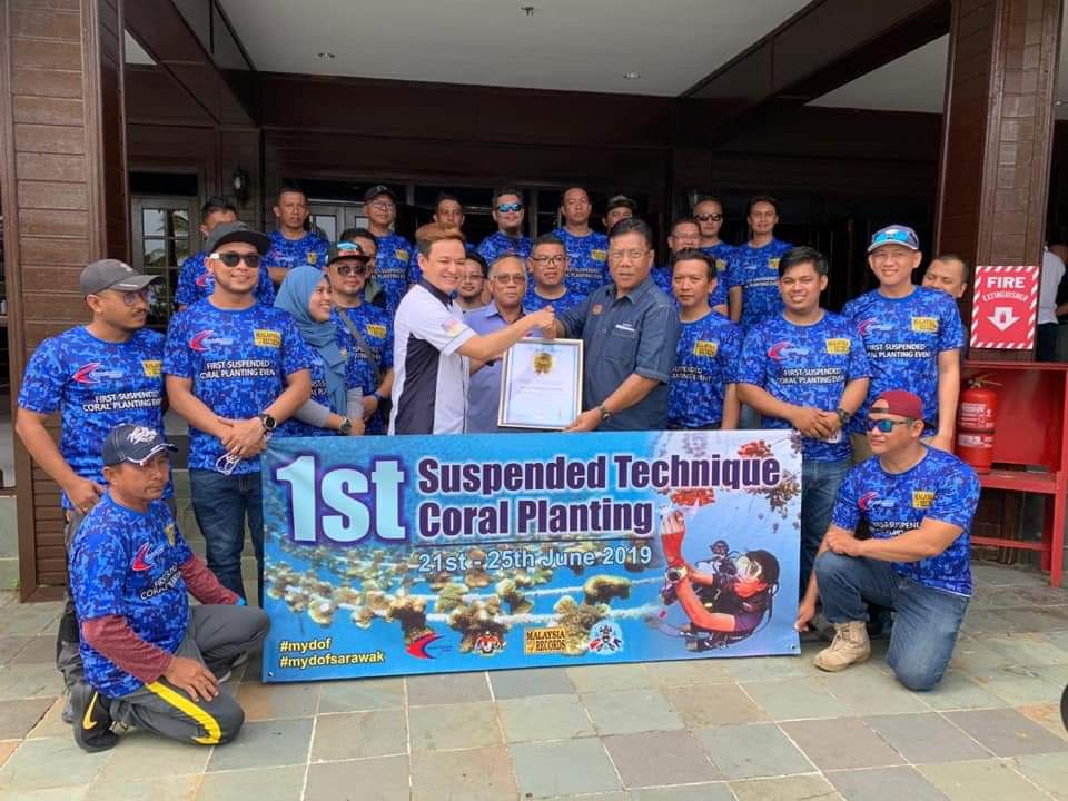 suspended coral planting