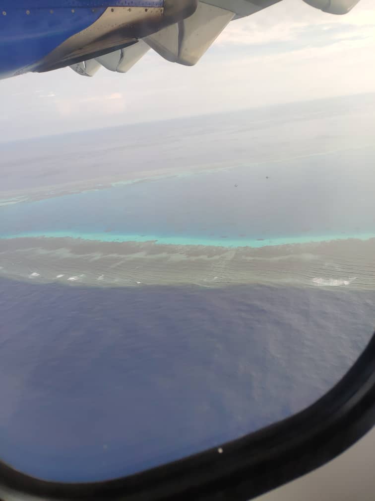 layang layang diving